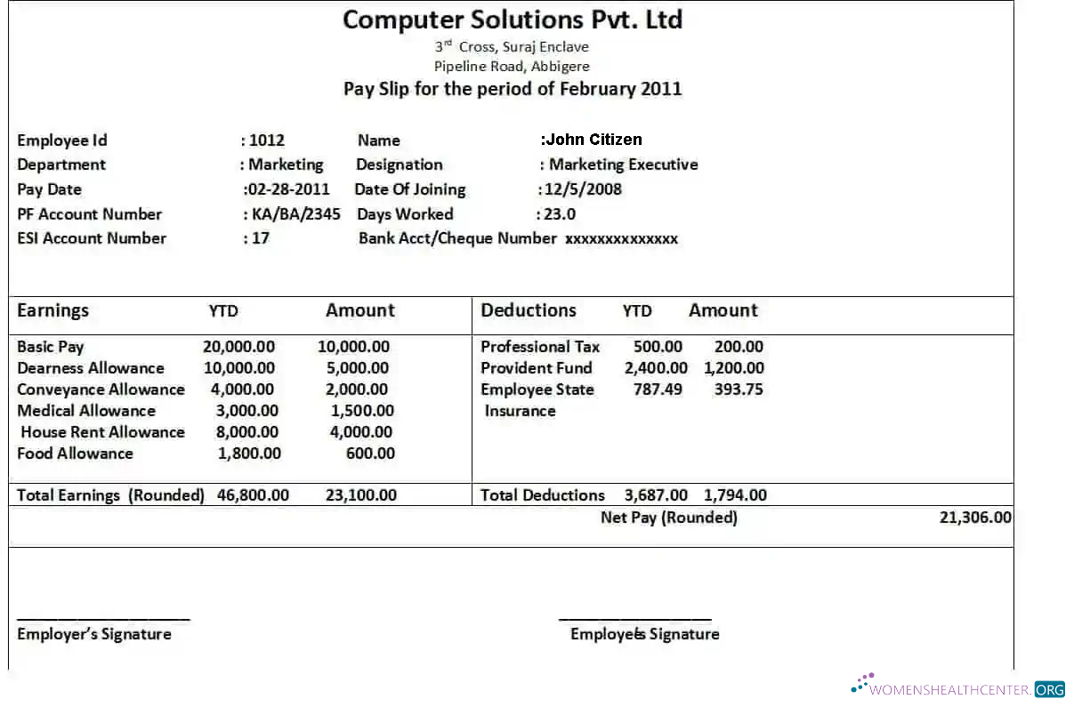 Download COMPUTER solutions Pvt. Ltd in Word and PDF formats Photoshop template